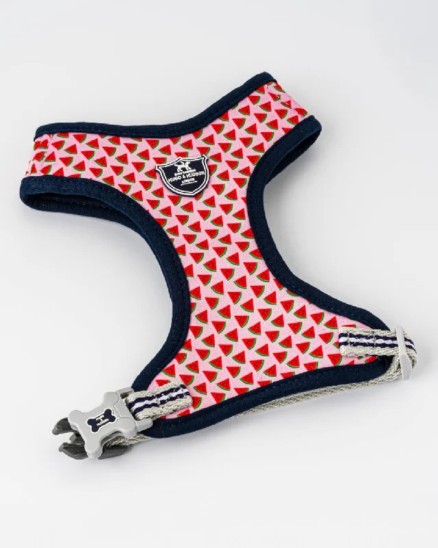- Custom pet birthday cakePink Watermelon Fabric Dog Harness