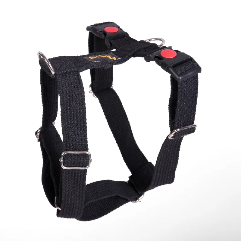 - Deodorizing cat litter tofu litterLet's Wag H Harness for Dogs (Black)