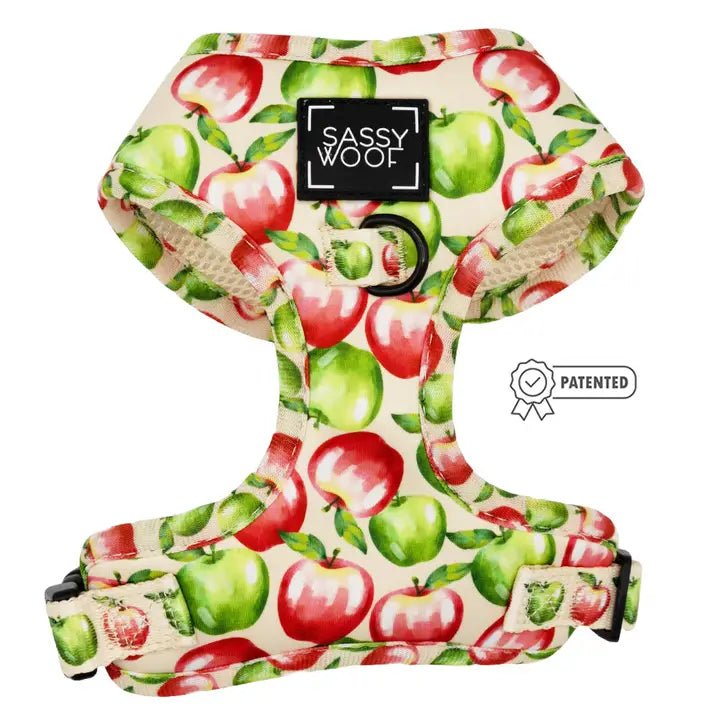 Classification by season or weather:Apple of My Eye Adjustable Harness