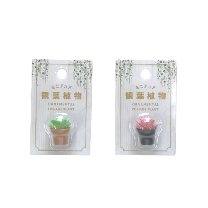 - Custom pet birthday cakeMiniature Foliage Plant