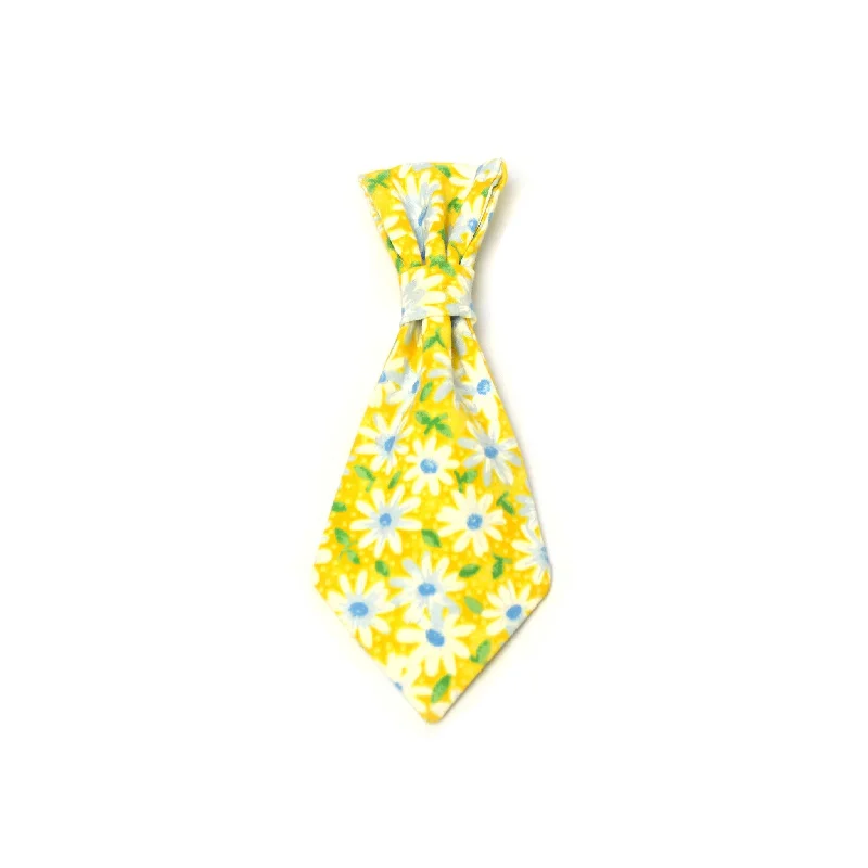 - Remote interactive pet feederDaisy Dog Tie