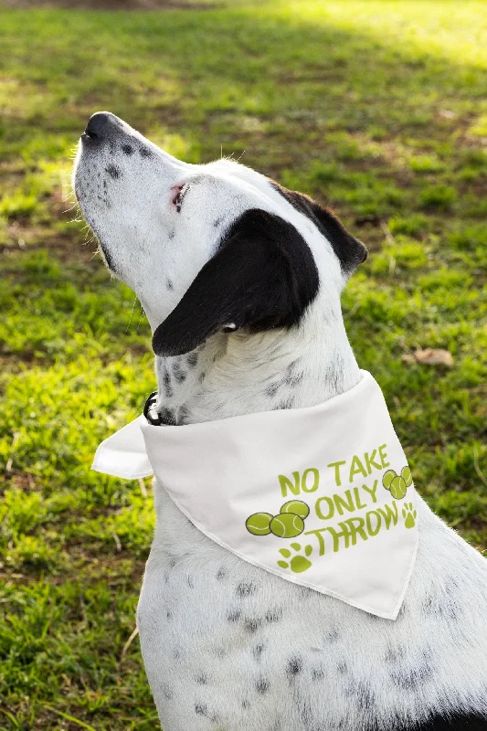 Pet cartoon pattern clothesNo Take Only Throw Bandana