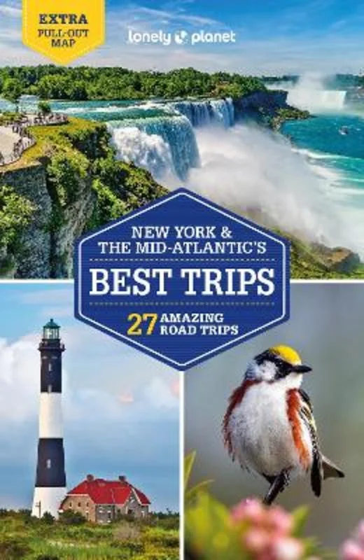 - Cat anti-jump window safety netLonely Planet New York & the Mid-Atlantic's Best Trips - Cat anti-jump window safety netLonely Planet New York & the Mid-Atlantic's Best Trips