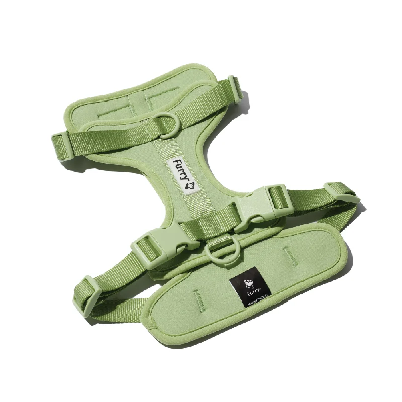 - Organic cotton dog bibsFurry & Co Bold Harness for Dogs (Matcha Latte)