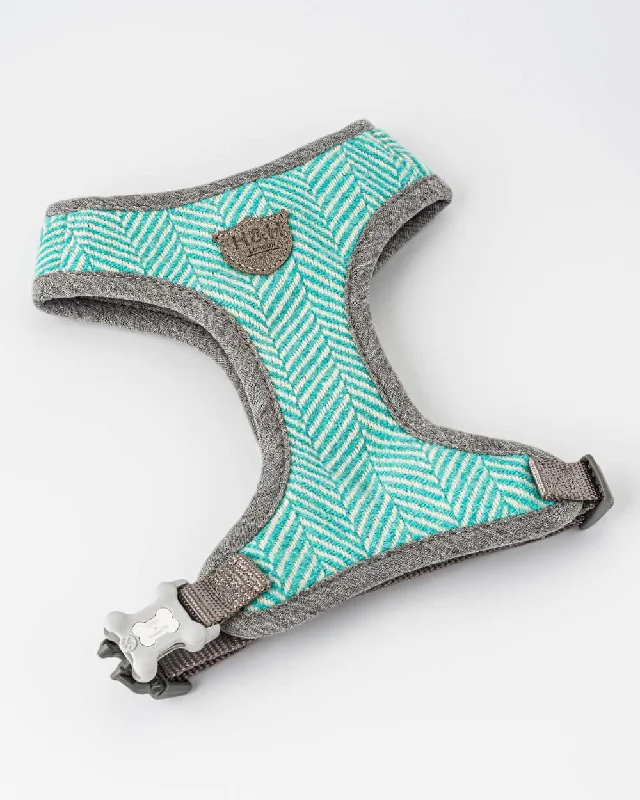 - Pregnant cat delivery room warming boxTweed Dog Harness - Aqua Herringbone