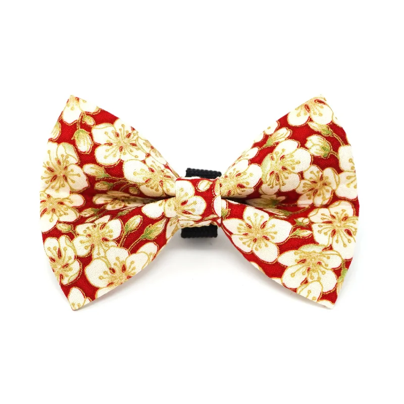 - Custom pet birthday cakeCherry Blossom (Red) Dog Bow Tie