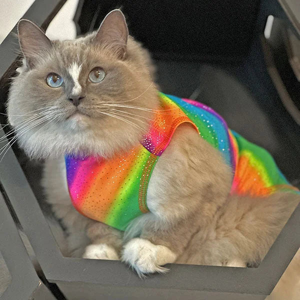 - Natural latex pet mattressCats - Cooling Sun Shirt with UPF50+  Rainbow