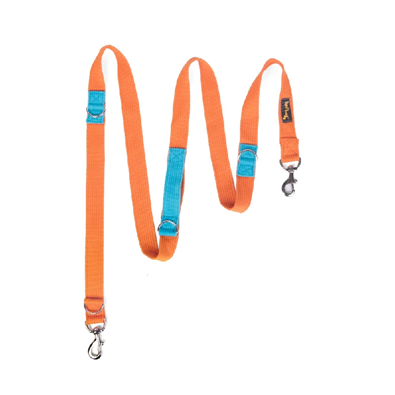 - Elderly dog ​​joint care mattressLet's Wag Multi Purpose Leash for Dogs (Orange)