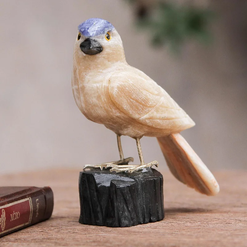 - Natural latex pet mattressSparrow of Creativity Bird Sculpture in Caramel Calcite on Onyx Stand - Natural latex pet mattressSparrow of Creativity Bird Sculpture in Caramel Calcite on Onyx Stand