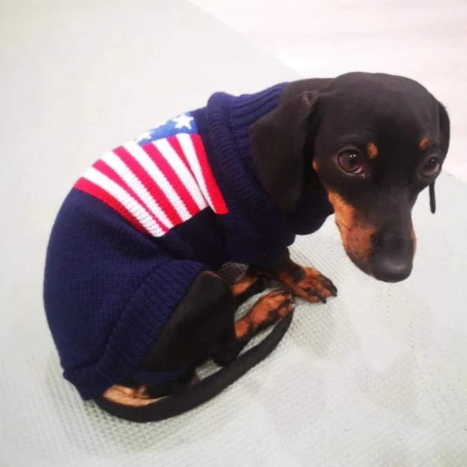 - Hamster silent running wheel to prevent chewingAmerican Flag Weenie Dog Sweater