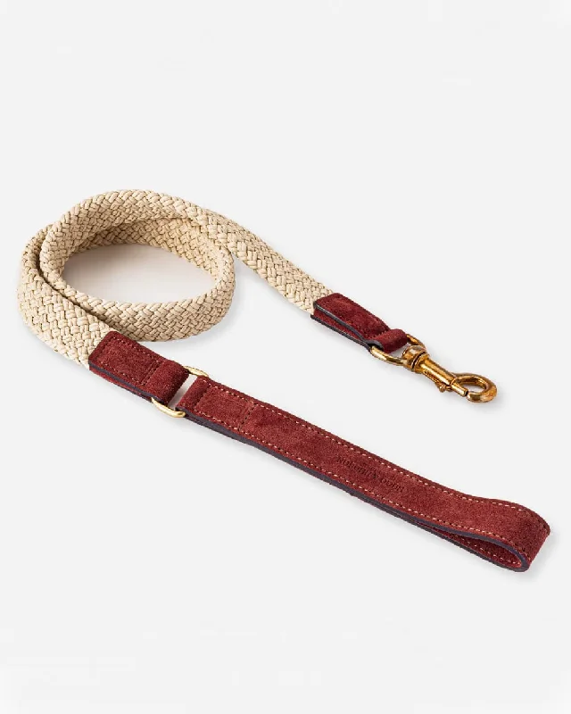 - Pet diabetes prescription foodFlat Rope and Leather Dog Lead - Brown