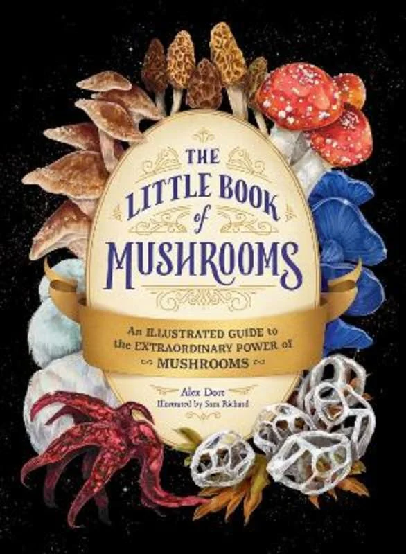 - Solid wood cat climbing frame customizedThe Little Book of Mushrooms