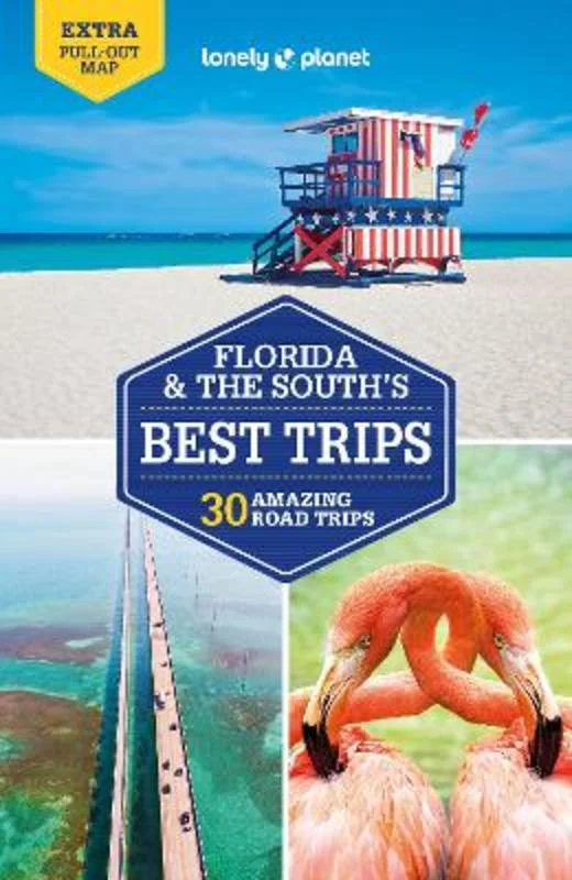 - Hamster silent running wheel to prevent chewingLonely Planet Florida & the South's Best Trips - Hamster silent running wheel to prevent chewingLonely Planet Florida & the South's Best Trips