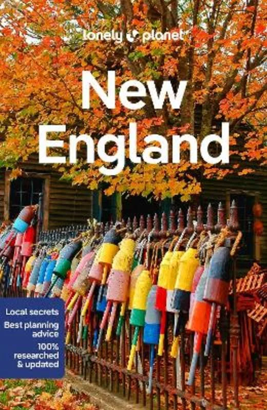 - Pregnant cat delivery room warming boxLonely Planet New England
