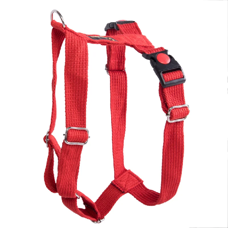- Pet monitor with cameraLet's Wag H Harness for Dogs (Red)