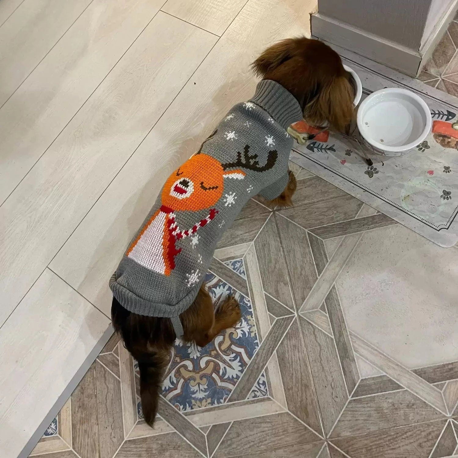 - Cat nail clippers with LED lightsReindeer Sweater for Sausage Dog