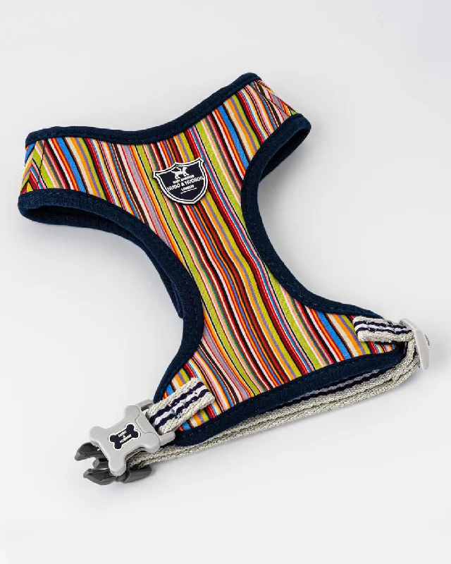 - Teething and chewing toys for puppiesStriped Multi-colour Fabric Dog Harness