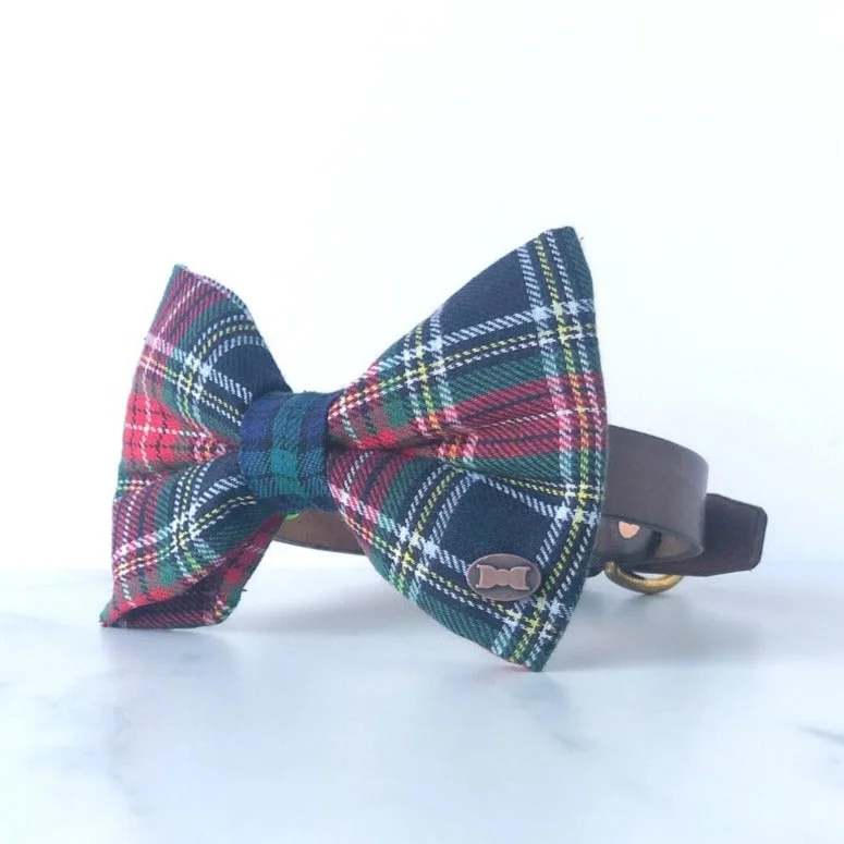 - Pet electric nail grinder silent modelMoray Tartan Dog Bow Tie