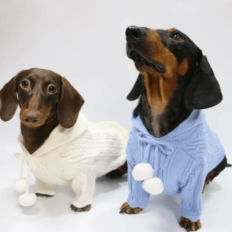 - Pregnant cat delivery room warming boxPom Pom Weenie Dog Sweater