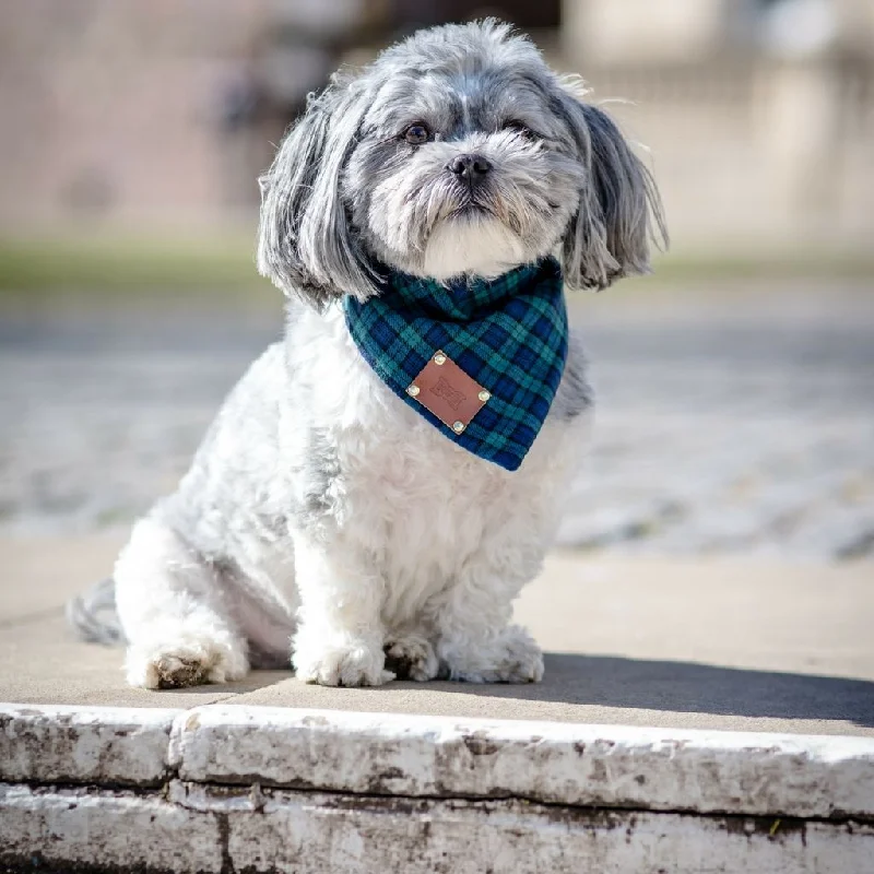  -Non-contact cat thermometerSmithfield Tartan Dog Bandana | Blue & Green