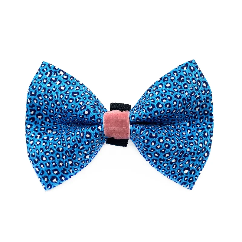 Pet ProductsBlue Cheetah Print Dog Bow Tie