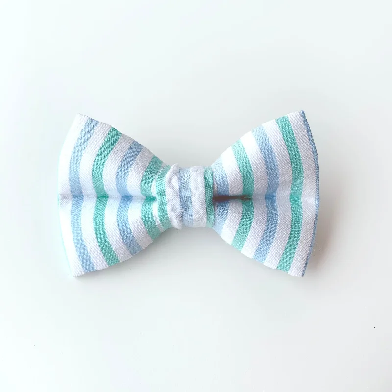 - Pet tear stain cleaning wipesGreen and Blue Seersucker Mini Dog Bow Tie