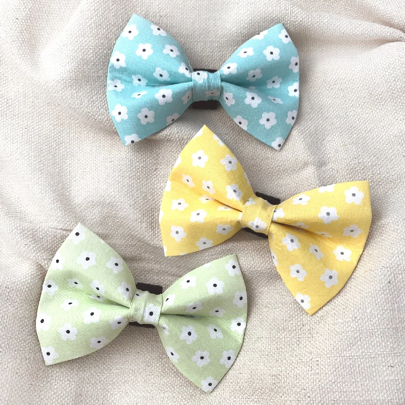 - Cat anti-jump window safety netDaisy Dog Bow Tie