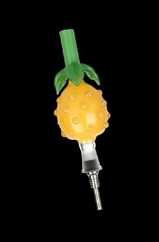 - Custom pet birthday cakePerky Pineapple Glass Honey Straw with Titanium Tip