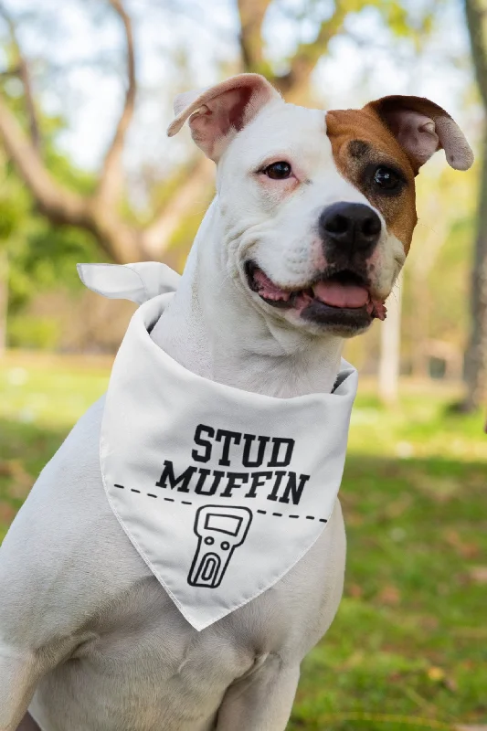 Pet night clothes with LED lightsStud Muffin Bandana