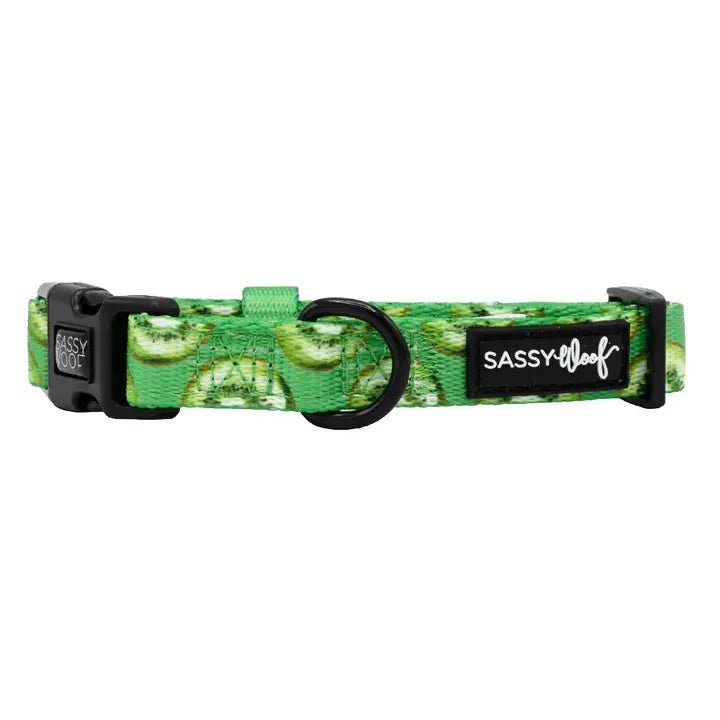 Pet ClothesKiwi Krazy Collar