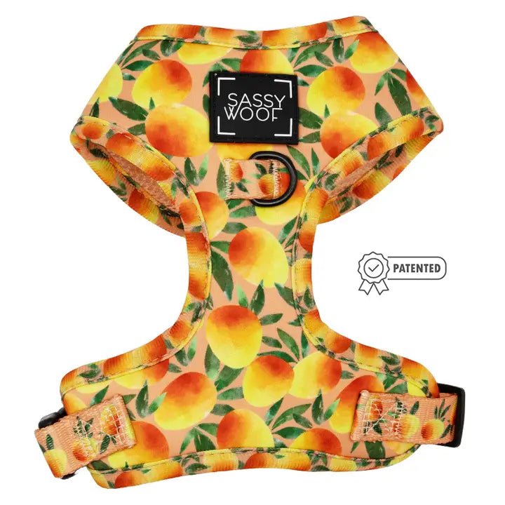 Cat clothesMango Tango Adjustable Harness