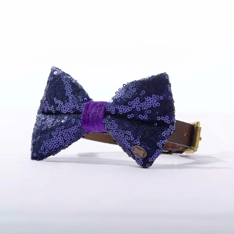 - Hamster silent running wheel to prevent chewingBette Sequinned Dog Bow Tie | Blue & Purple - Hamster silent running wheel to prevent chewingBette Sequinned Dog Bow Tie | Blue & Purple