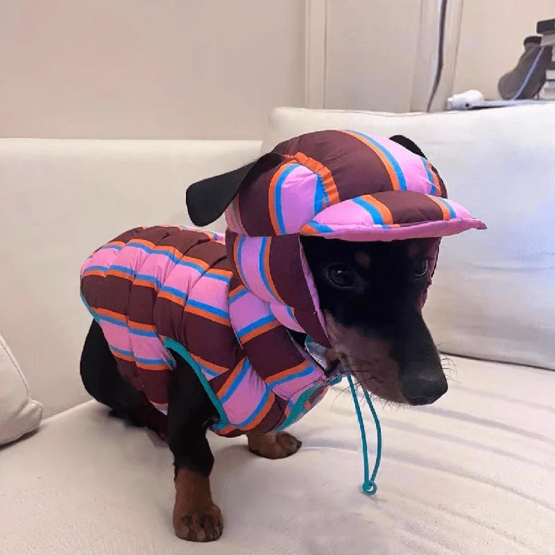 - Elderly dog ​​joint care mattressReversible Wiener Dog Jacket