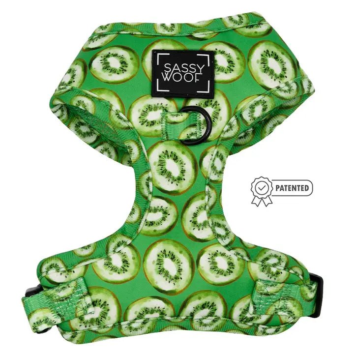 Winter warm clothes for catsKiwi Krazy Adjustable Harness