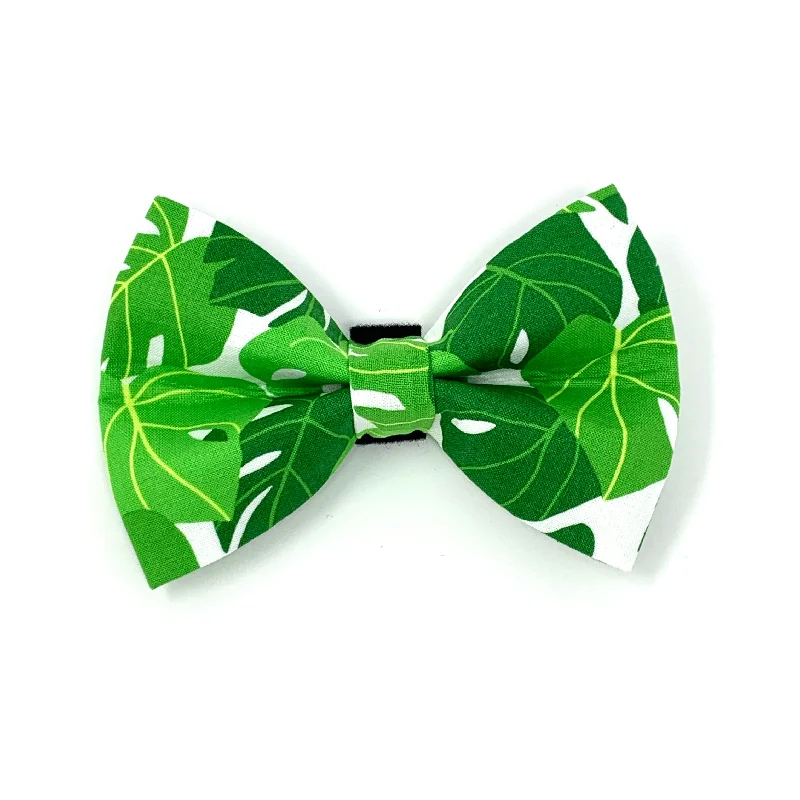 ---Monstera Dog Bow Tie