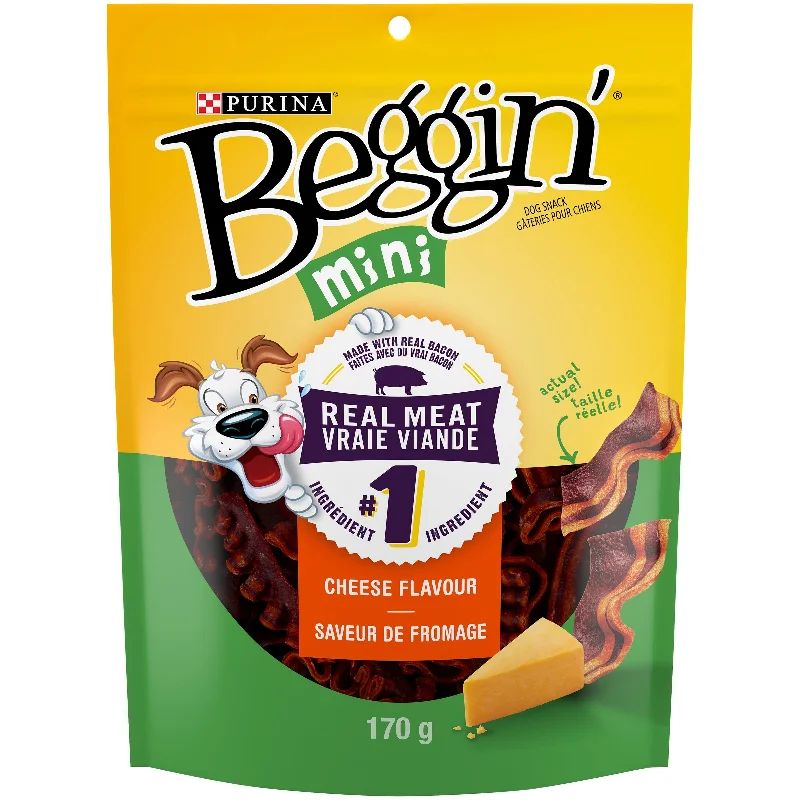 - Dog food for pregnancy and lactationBeggin’ Mini Cheese Flavour Dog Snacks 170g