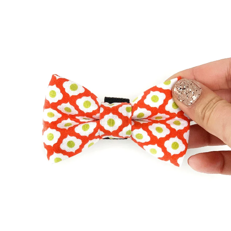 - Dog disposable foam shower gelEggy Mini Dog Bow Tie