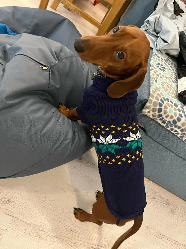  -Anti-scratch scratching board AND cat bed in oneNavy Sausage Dog Sweater