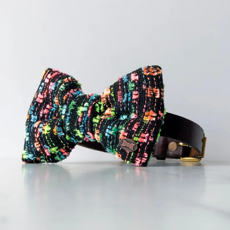 - Pet vitamin complex nutrition tabletsNeon Rainbow Boucle Dog Bow Tie