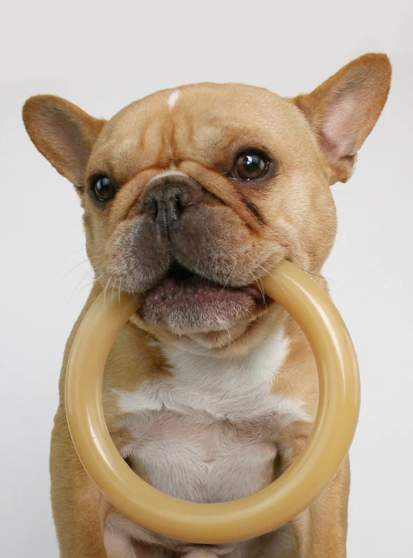 Pet retro style clothesRing Bone Dog Chew Toy