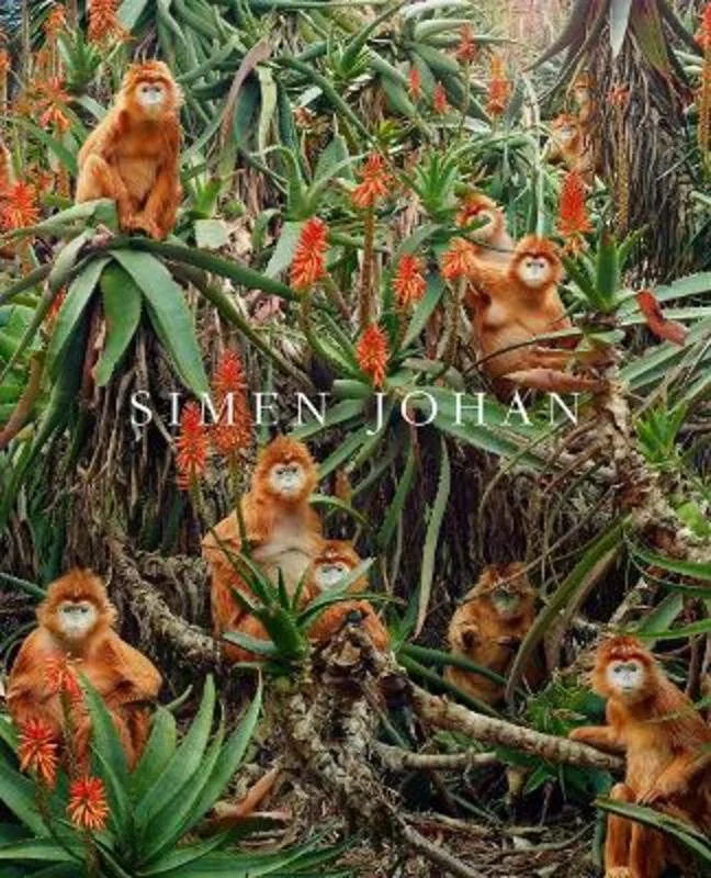 - Rabbit grass rack to prevent waste food boxSimen Johan