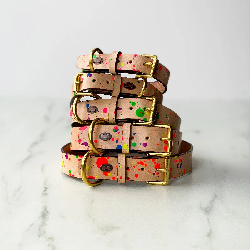 - Foldable and portable cat bagPaint Box Collar | Hand-Painted Leather Dog Collar | Neon - Foldable and portable cat bagPaint Box Collar | Hand-Painted Leather Dog Collar | Neon