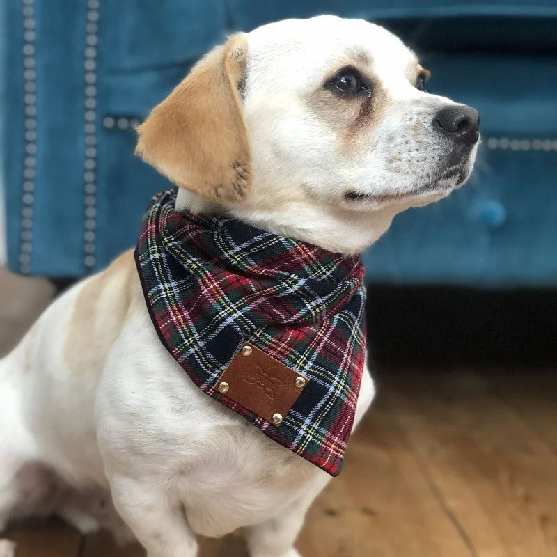 - Cat hair ball removal and hair removal creamMoray Tartan Dog Bandana Neckerchief
