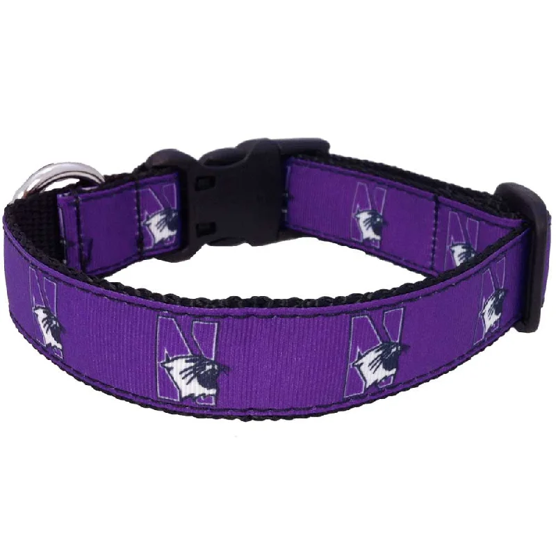  . **Dog collar is luminous and reflective**Northwestern Wildcats Premium Dog Collar