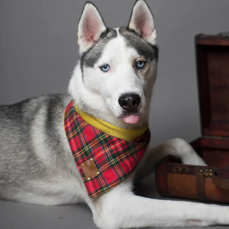 - Dog heart rate monitoring collarTimpa Tartan Dog Bandana | Red