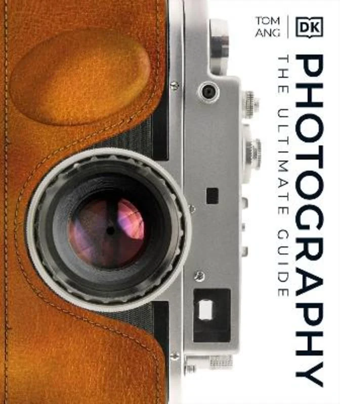 - Hamster silent running wheel to prevent chewingPhotography