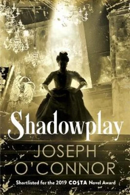 - Postoperative pet anti-licking Elizabethan collarShadowplay