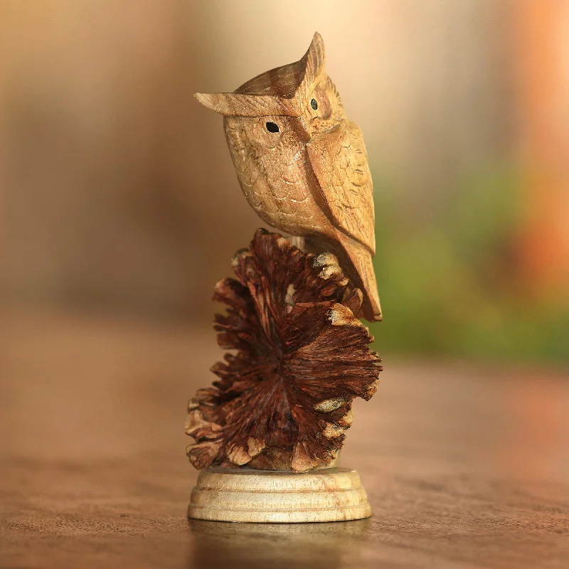 - Pet diabetes prescription foodPerched Owl Jempinis Wood Owl Sculpture from Bali