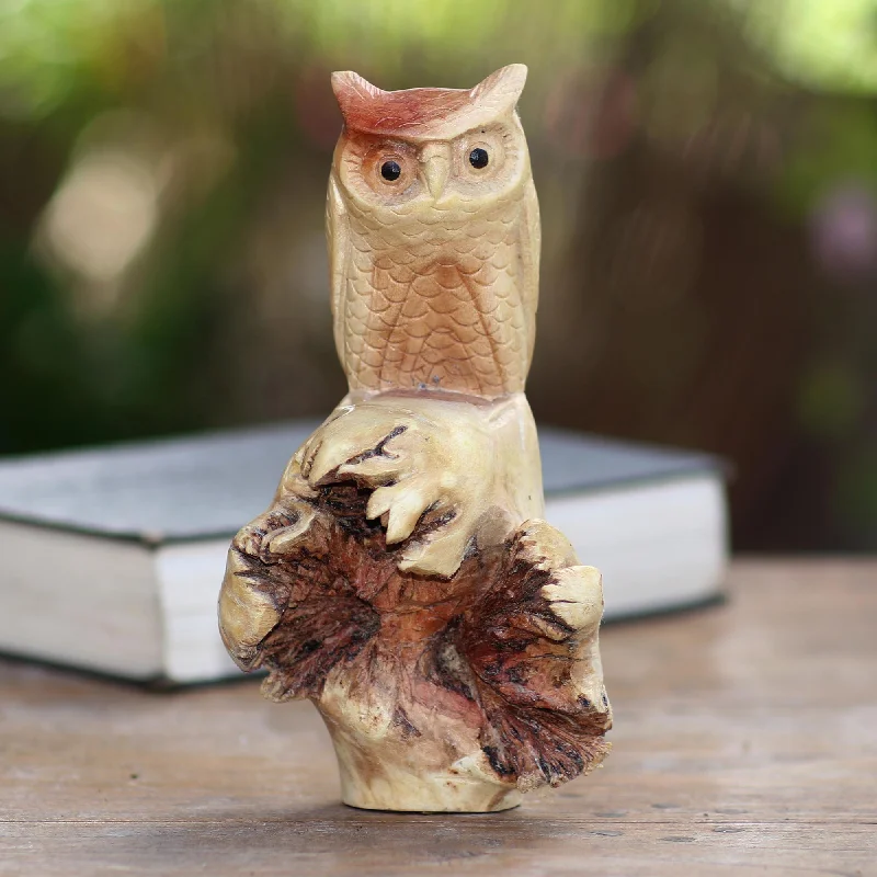 - Cat anti-jump window safety netSilent Owl Hand Carved Wood Owl Sculpture